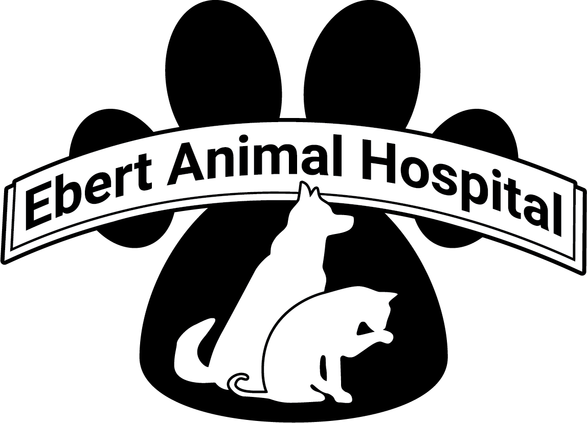 Ebert Animal Hospital